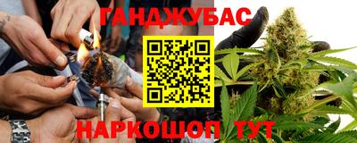 apvp Камышлов